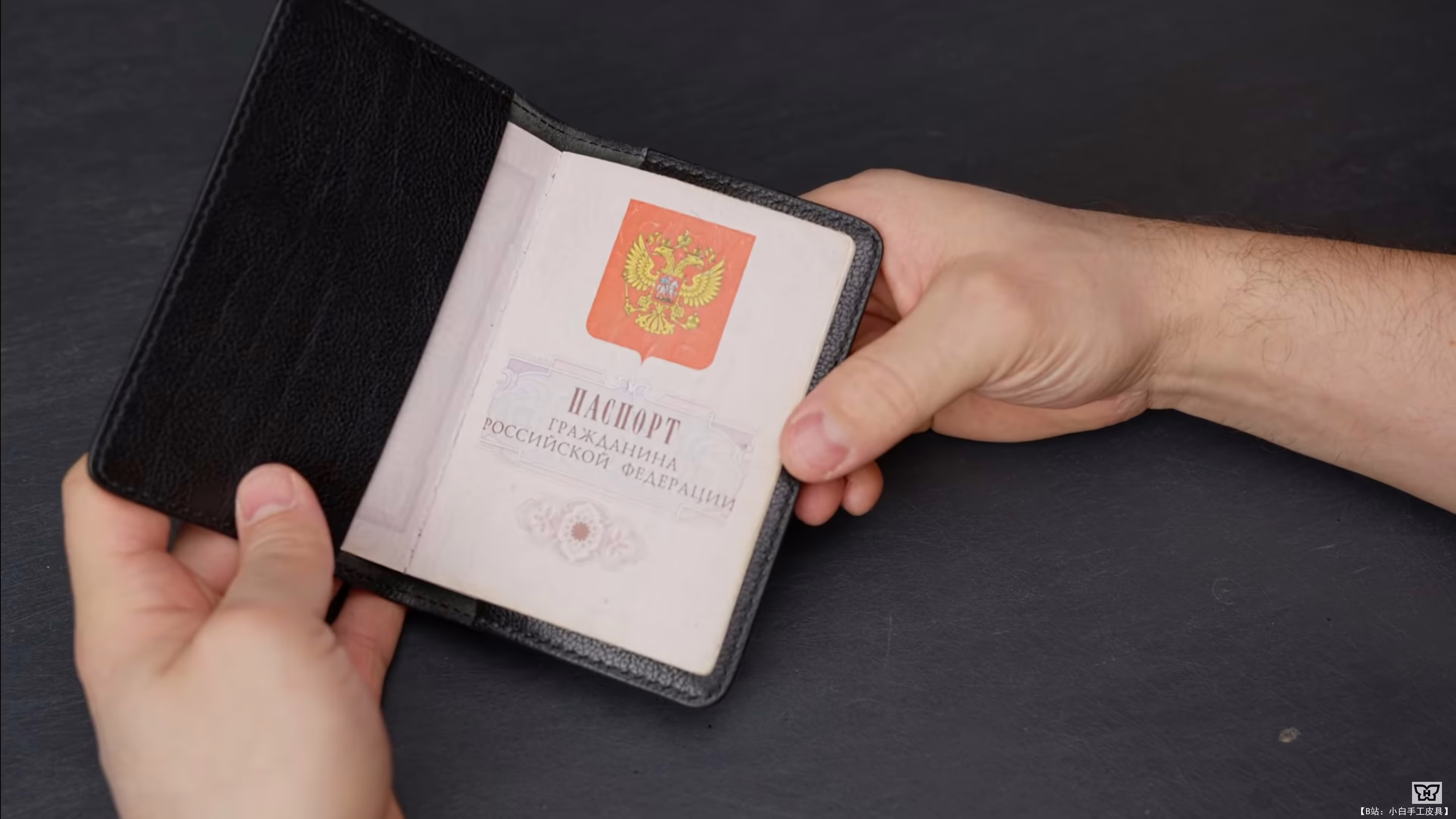 Serzh Nikitin 设计的免费版型护照封面 - 1