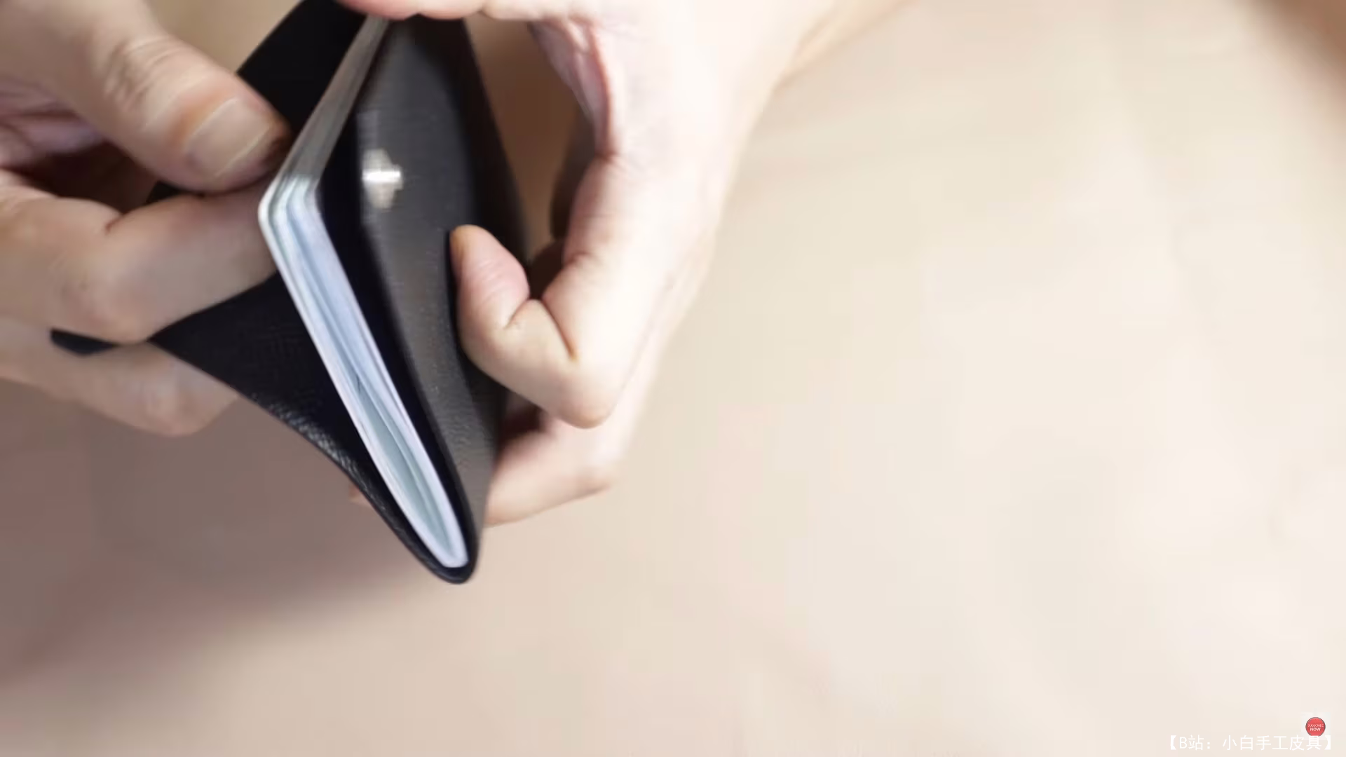 Serzh Nikitin 设计的免费版型护照封面 - 3